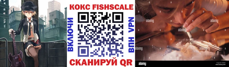 Купить закладки  Кудымкар  COCAIN FishScale 
