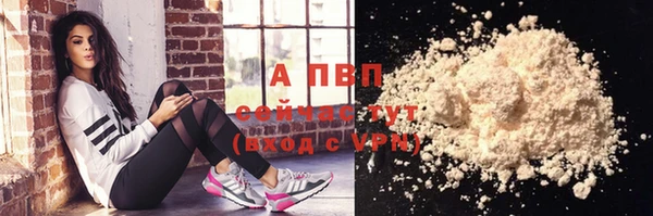 стаф Балахна