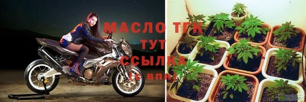 стаф Балахна